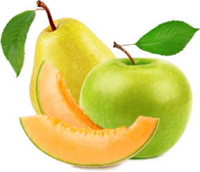 Tierras Llanas Blanco