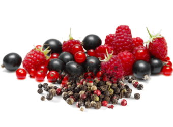 Tierras Llanas Tempranillo